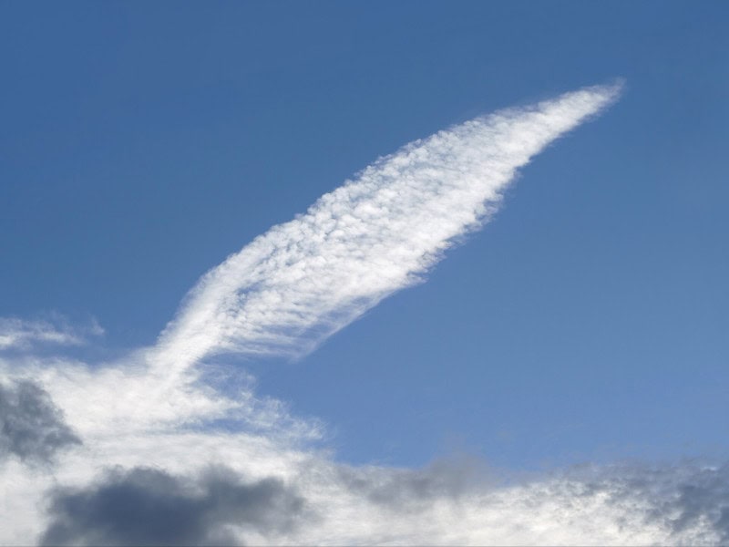 Wispy cirrus clouds streaking across a blue sky like horses tails