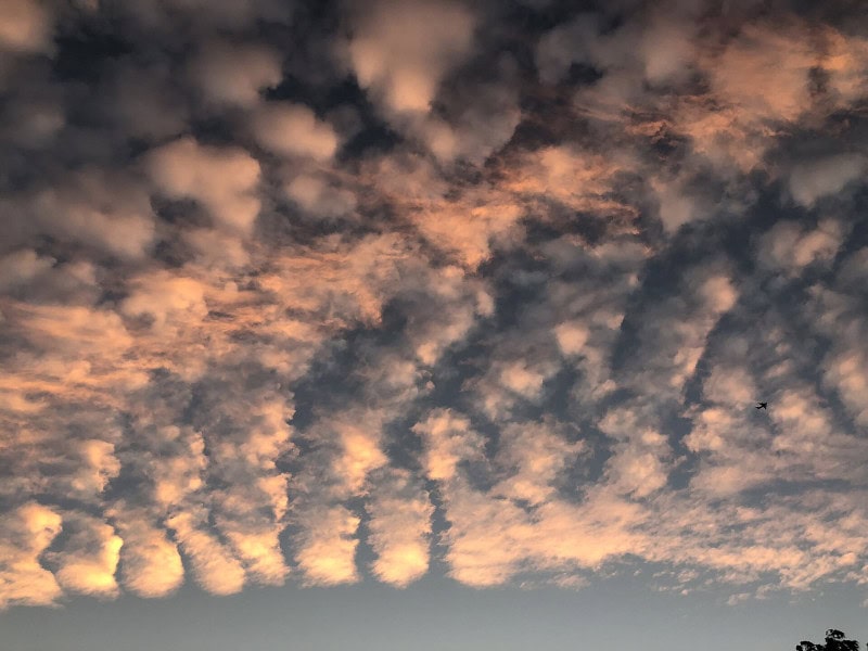 Mackerel sky showing rows of small cirrocumulus cloudlets resembling fish scales at sunset
