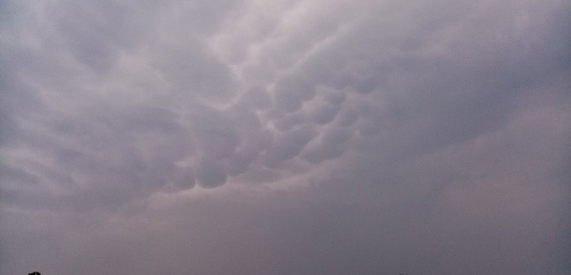 Mammatus clouds forming rows of smooth hanging pouches beneath a dark storm cloud base
