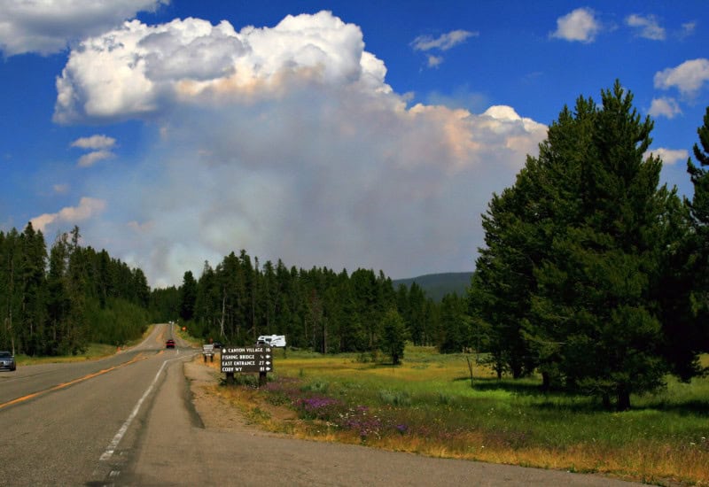 Pyrocumulus cloud towering above a wildfire smoke column