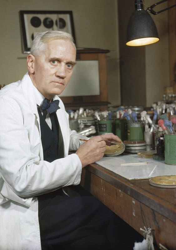 Alexander Fleming, white-haired in a white lab coat and dark bow tie, seated at a laboratory bench with his hand on a culture dish under an angled lamp
