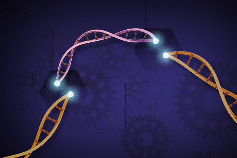 Stylised rendering of a DNA double helix in blue and orange against a dark background with glowing points along the strands