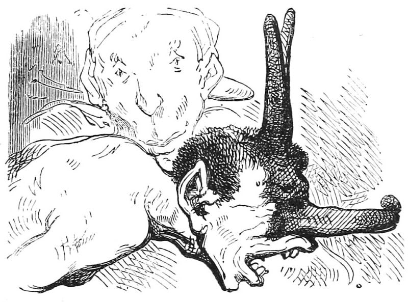 Nineteenth-century engraving of two grotesque figures: a bald, large-eared humanoid head and shoulders behind a dark long-eared crouching creature