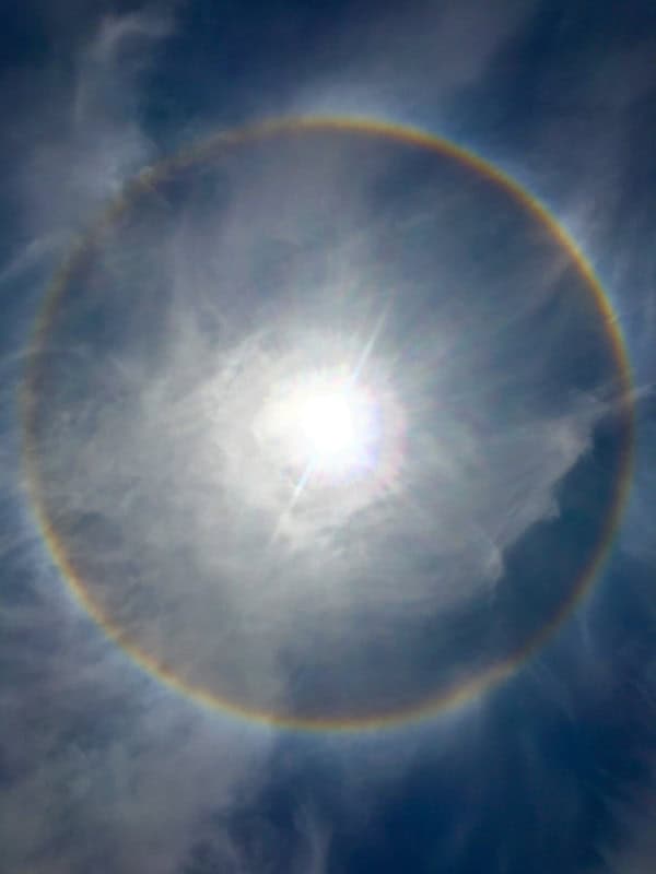 A complete circular halo ringing the sun, the disc inside it filled with bright hazy cirrus rather than dark sky
