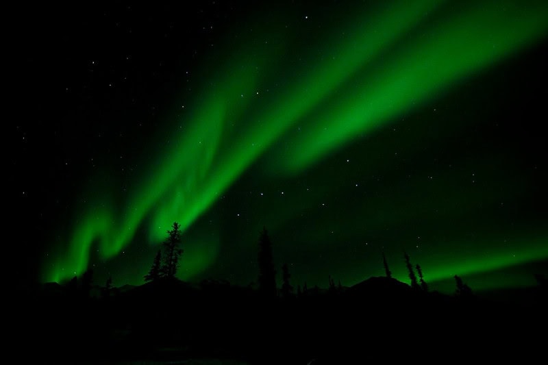 Broad green curtains of aurora filling a starry sky above a black silhouetted treeline