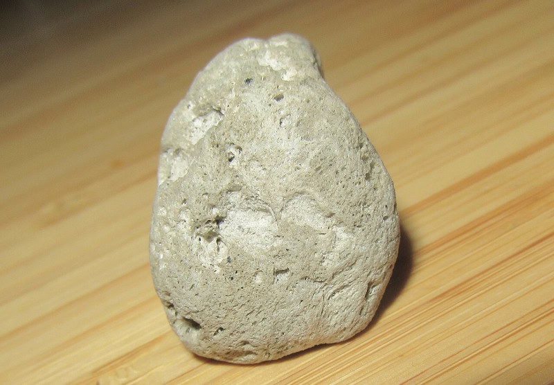 A single pale grey lump of pumice from the 2021 Fukutoku-Okanoba eruption resting on a wooden surface