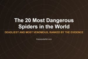 Title card reading The 20 Most Dangerous Spiders in the World, deadliest and most venomous, ranked by the evidence, over a web pattern