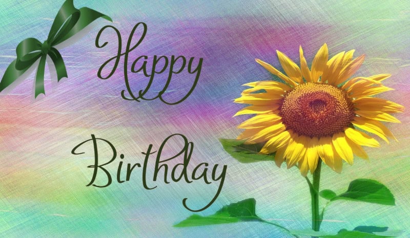 A birthday card design reading Happy Birthday in script beside a sunflower and a green ribbon bow