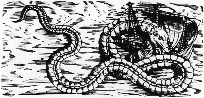 A giant sea serpent coiling around a sailing ship and seizing a sailor, from Olaus Magnus's 1555 History of the Northern Peoples