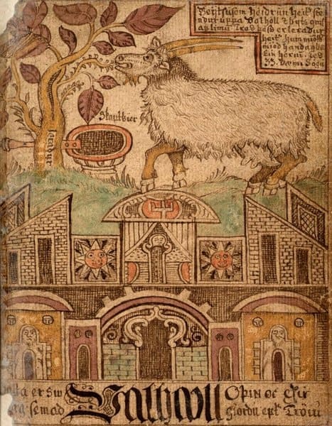 The goat Heidrun standing on the roof of Valhalla and eating the leaves of the tree Laeradr, from a 17th-century Icelandic manuscript
